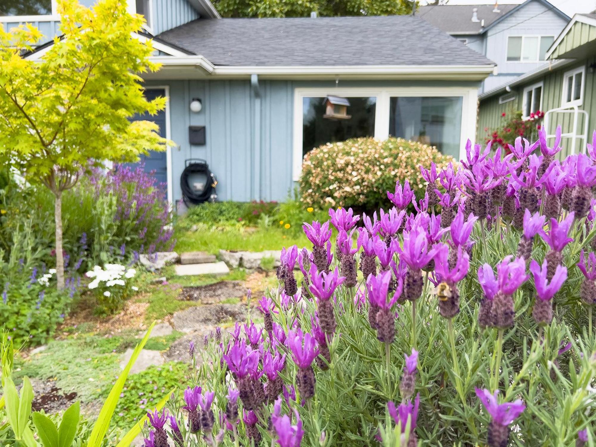 Magnolia Garden Cottage 시애틀 외부 사진