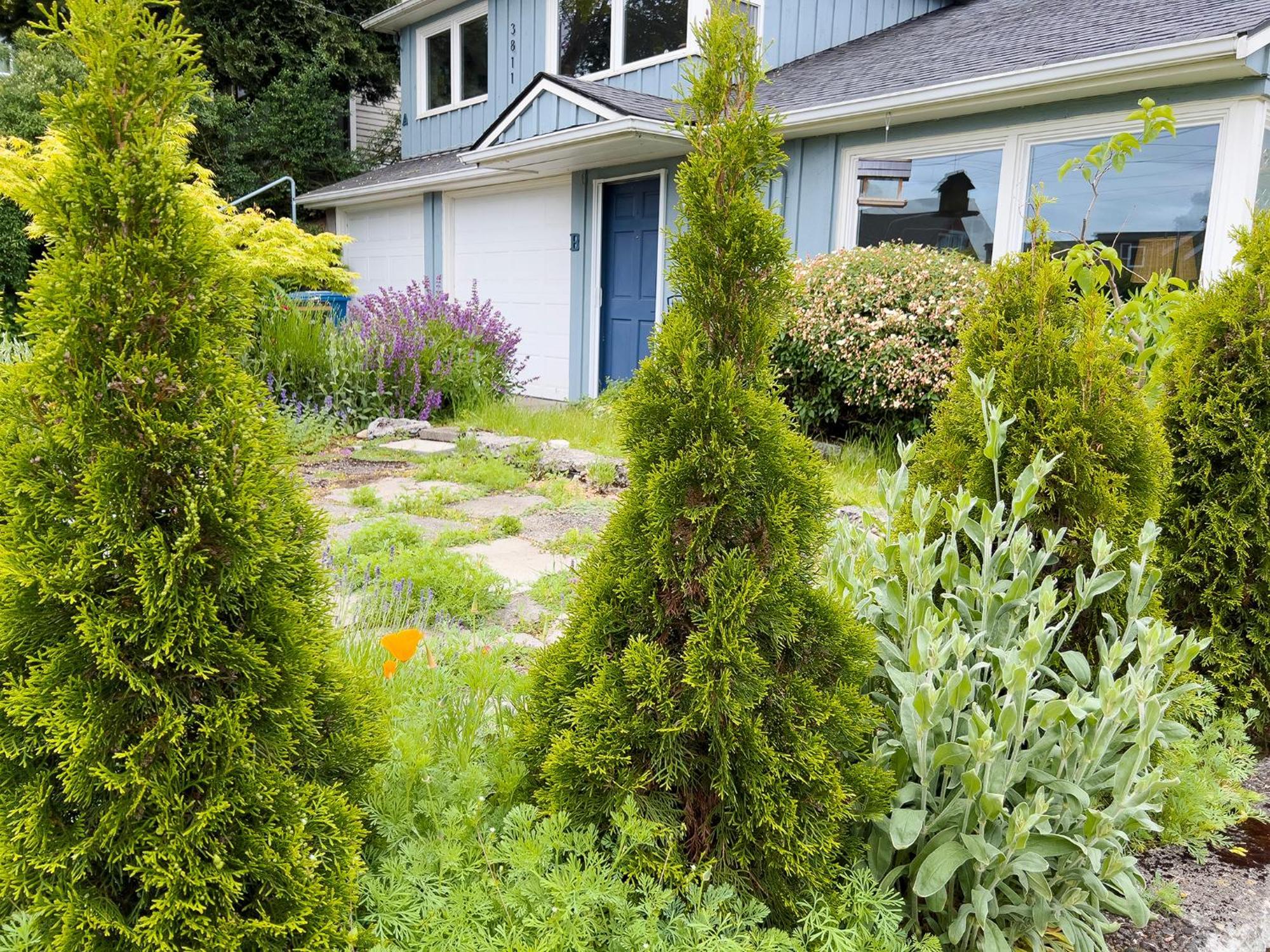 Magnolia Garden Cottage 시애틀 외부 사진